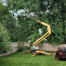 How Our Tree Care Process Works  in Baton Rouge, LA